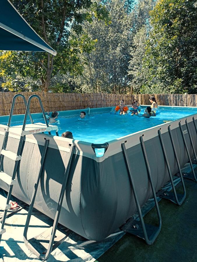 Vikendica Apartments Dunav Ms Celarevo Ngoại thất bức ảnh